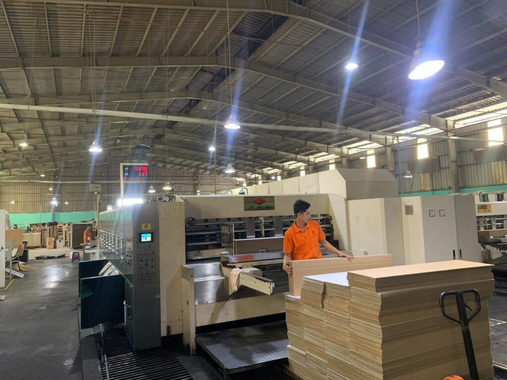 carton phúc hảo