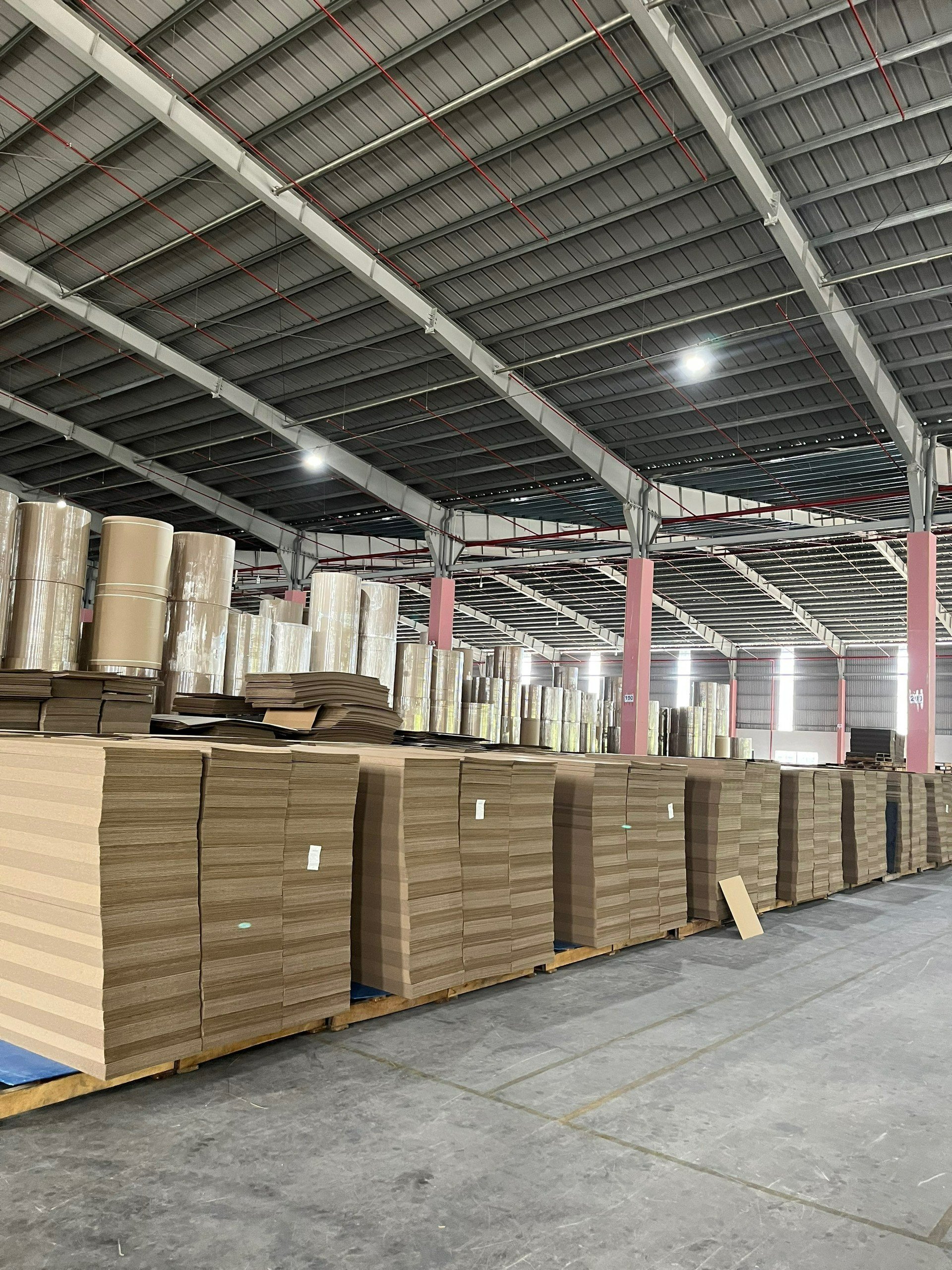 carton phúc hảo